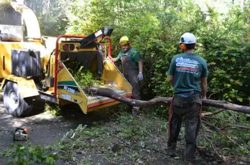 tree services Tignall